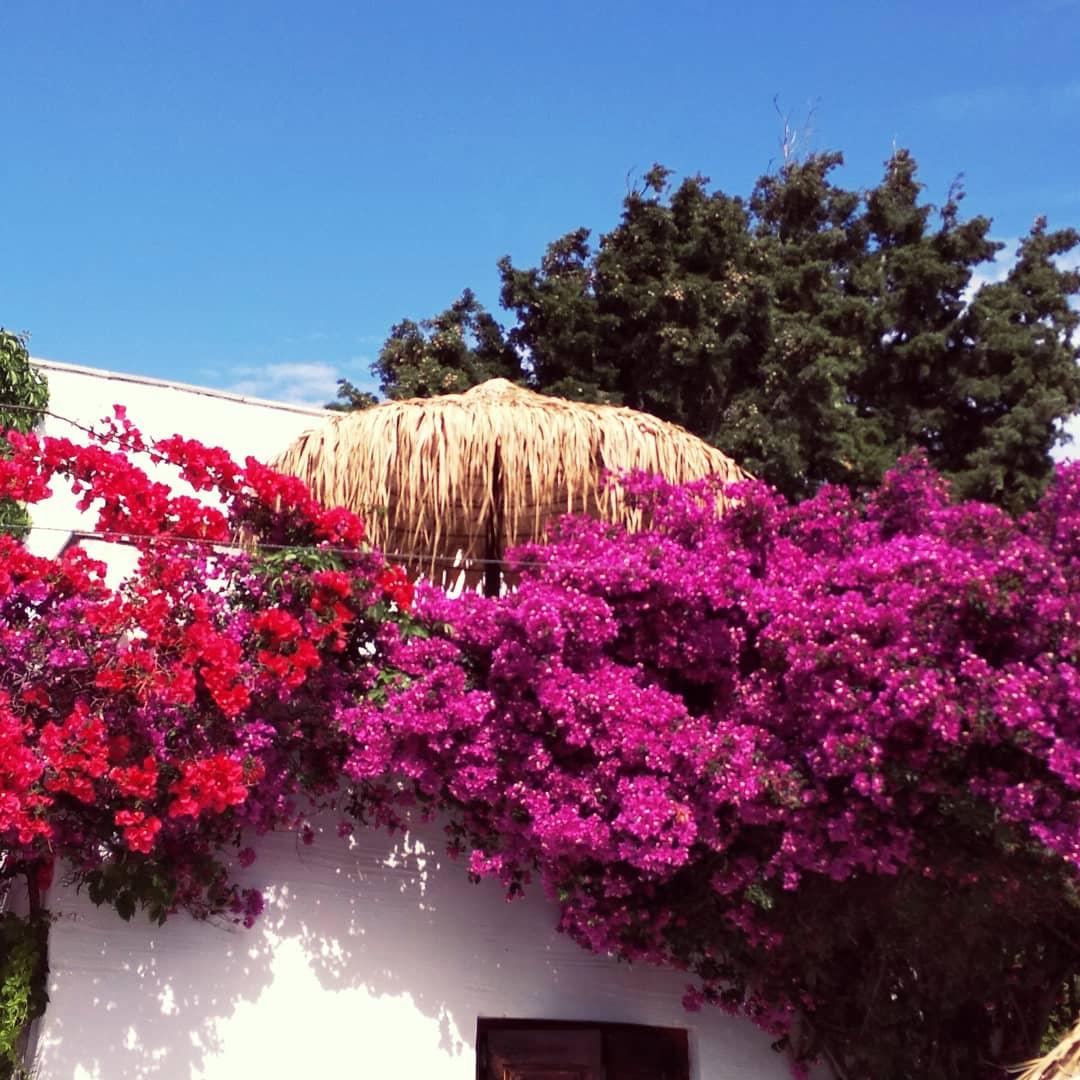 Naxos Summerland Resort Kastrákion Dış mekan fotoğraf