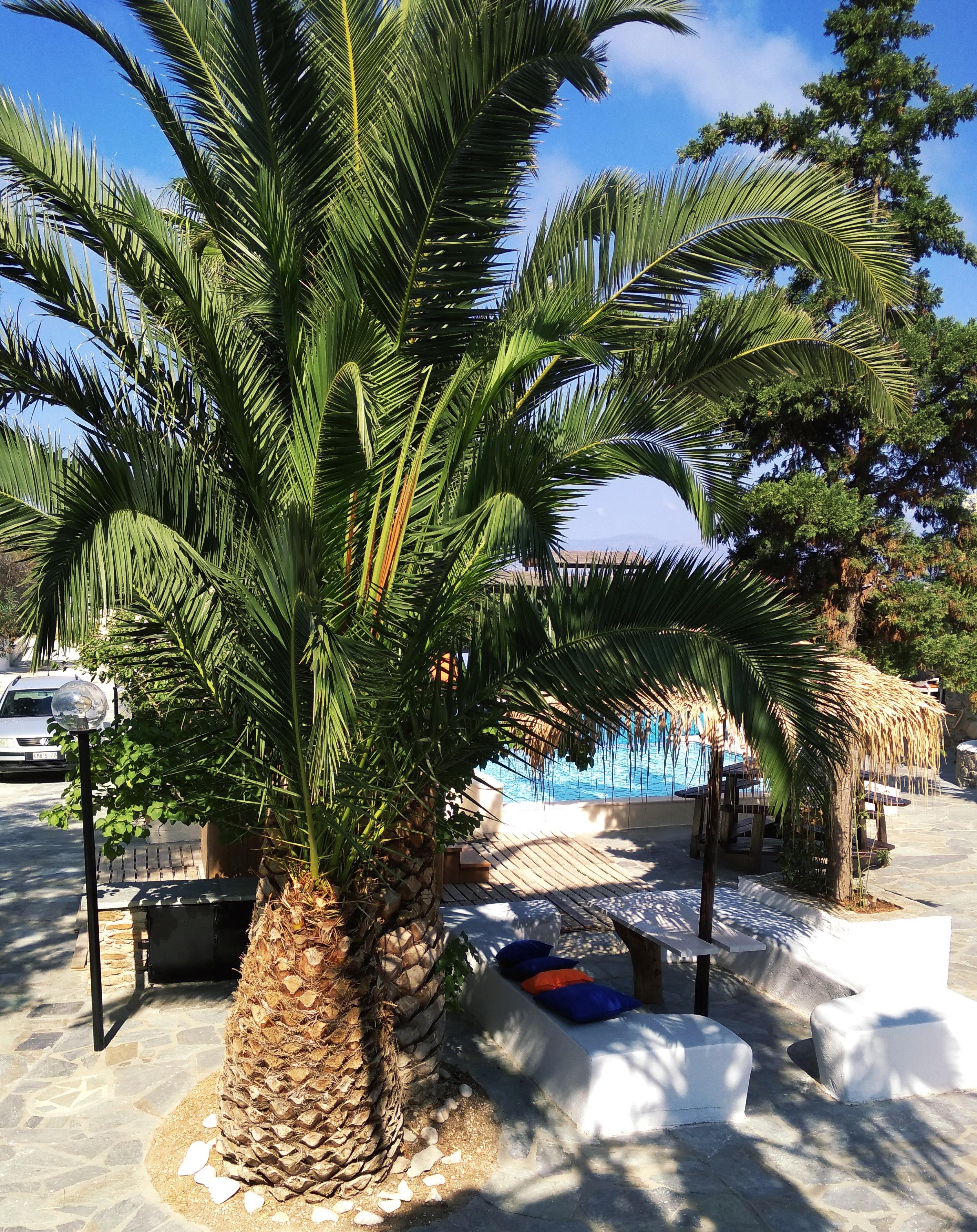 Naxos Summerland Resort Kastrákion Dış mekan fotoğraf